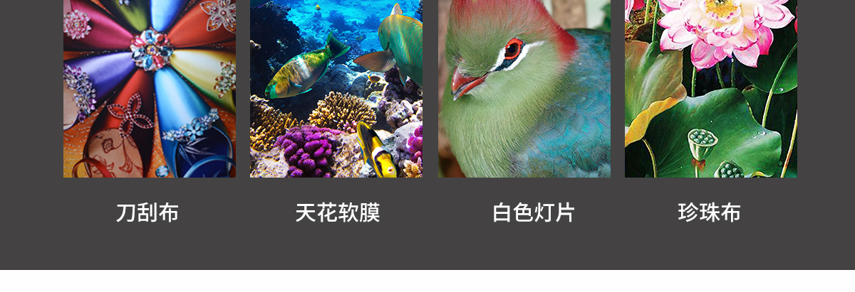 ht1600草莓视频网址入口
