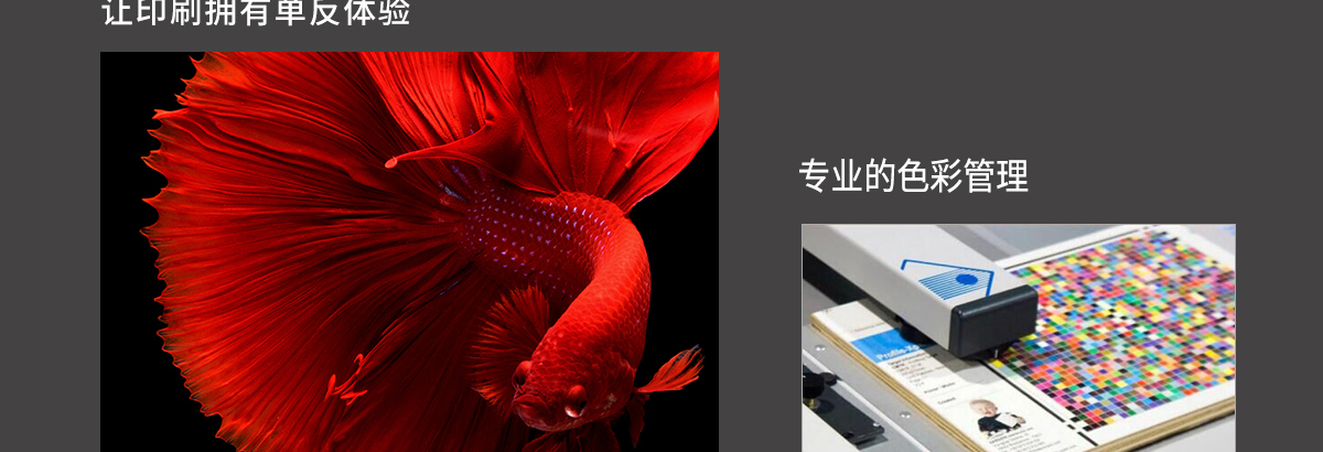 ht1600草莓视频网址入口
